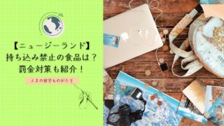 NZ持ち込み禁止食品｜お菓子・ふりかけはOK？罰金対策も解説