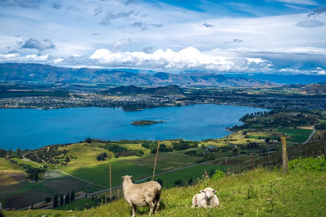 ニュージーランドの文化